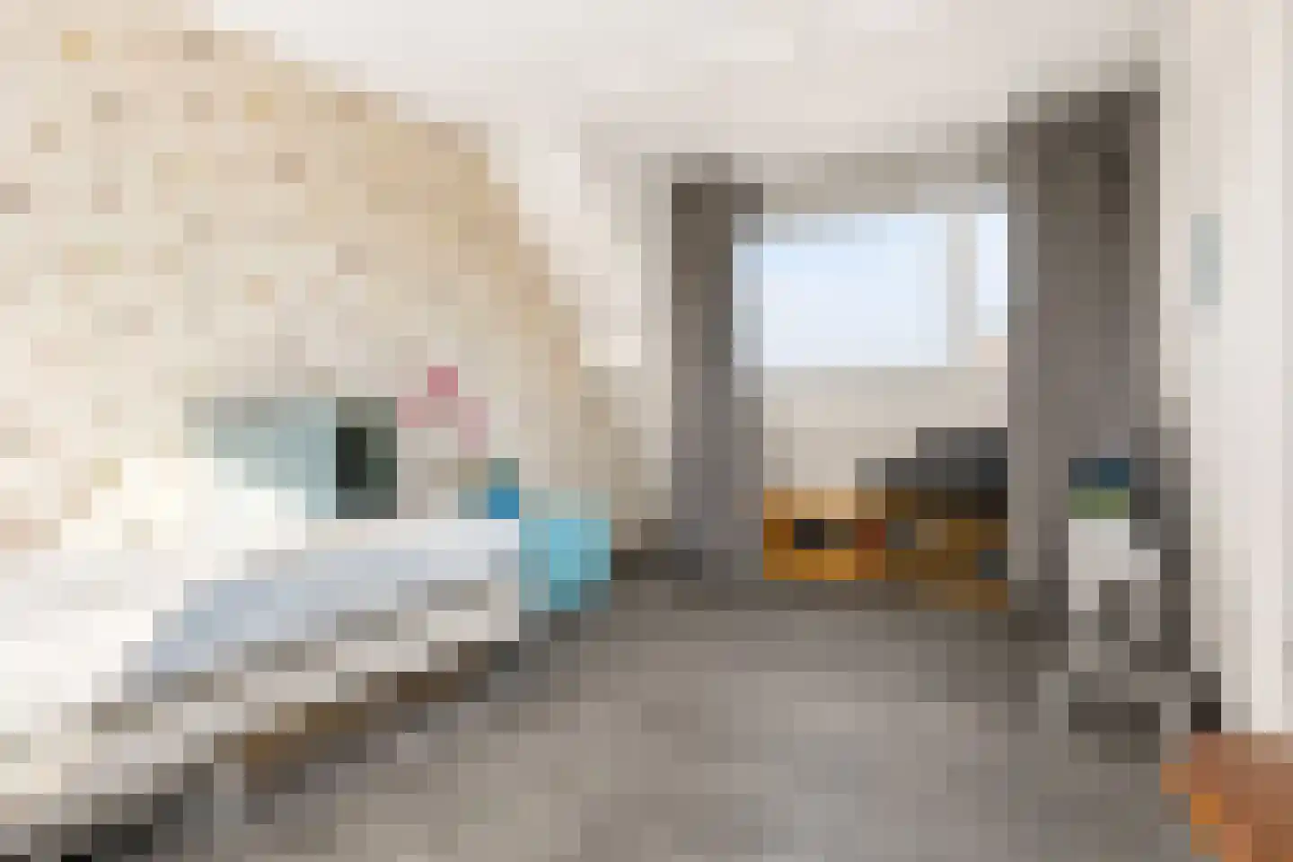 Rochussenware 10 Zwolle thumbnail 39