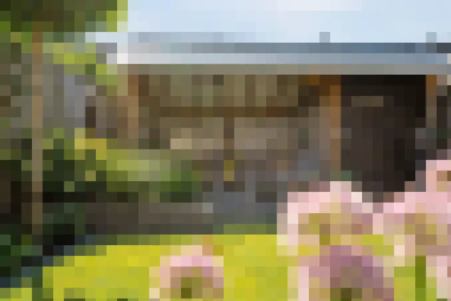 Rochussenware 10 Zwolle thumbnail 46