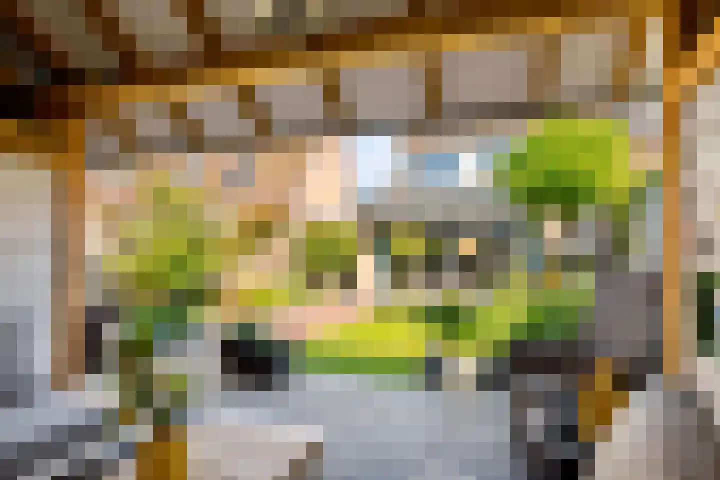 Rochussenware 10 Zwolle thumbnail 47