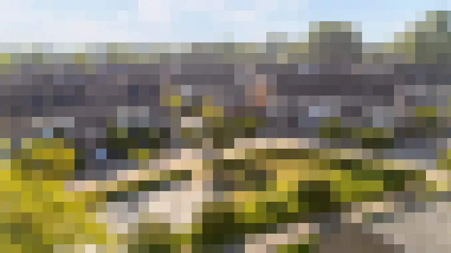 Rochussenware 10 Zwolle thumbnail 5