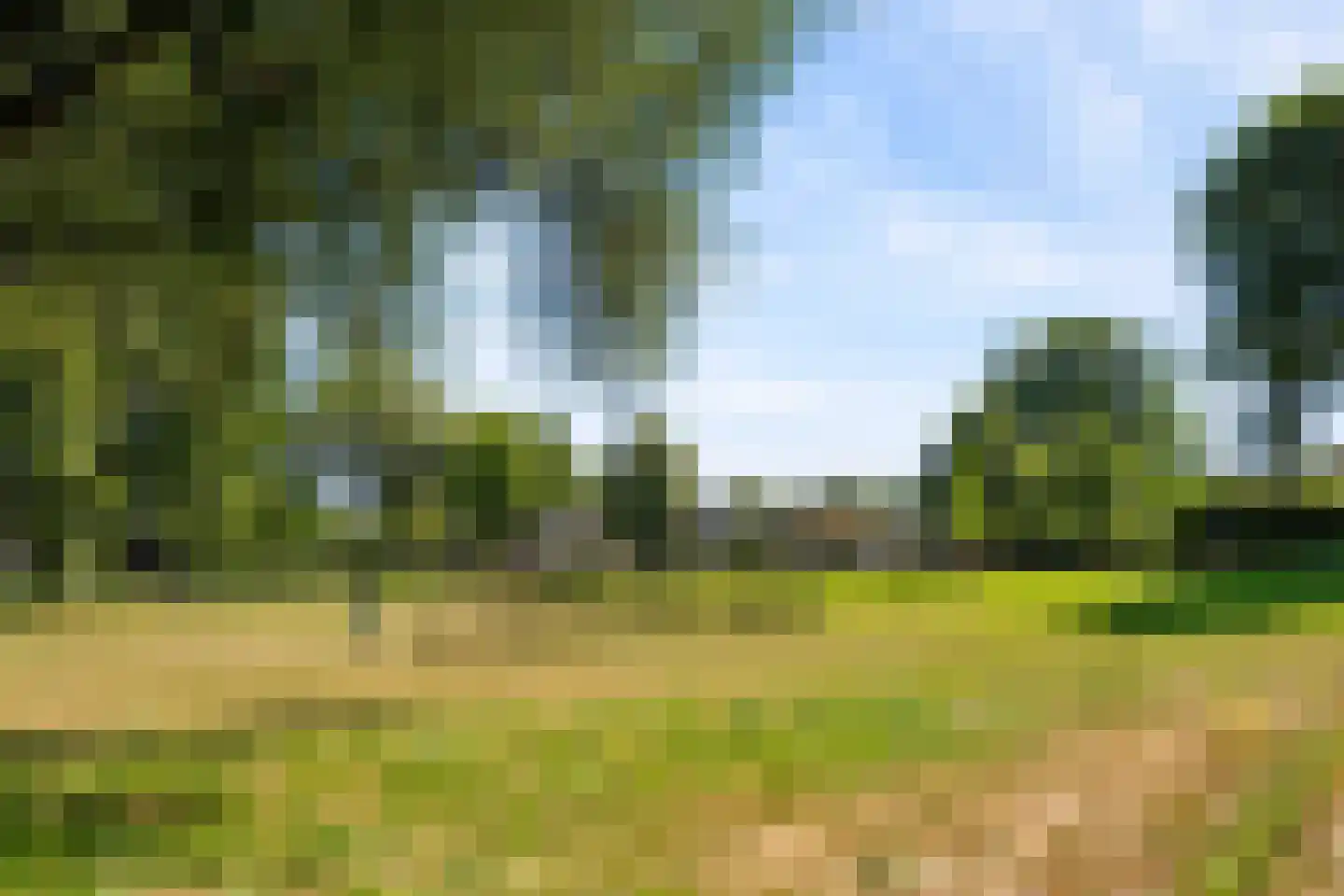 Rochussenware 10 Zwolle thumbnail 52