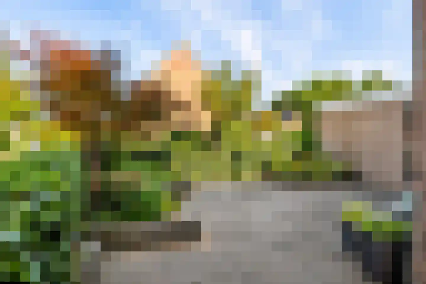 Rochussenware 10 Zwolle thumbnail 7