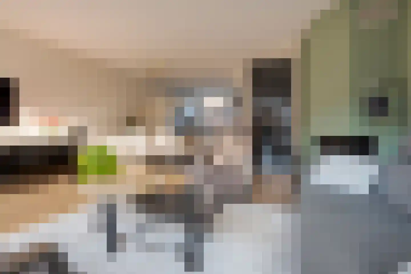 Rochussenware 26 Zwolle thumbnail 13