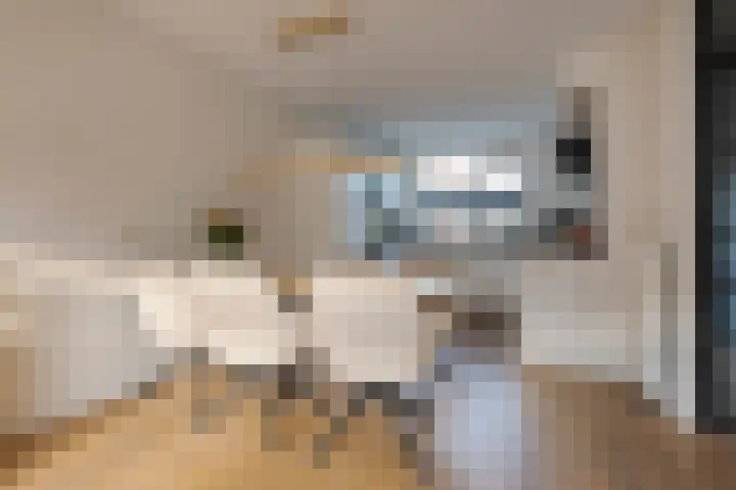 Rochussenware 26 Zwolle thumbnail 14