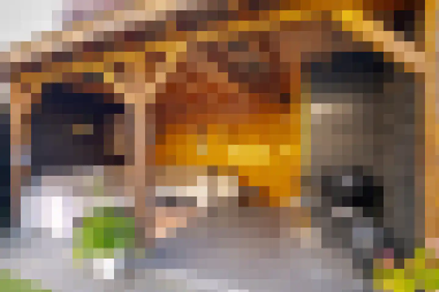 Rochussenware 26 Zwolle thumbnail 23