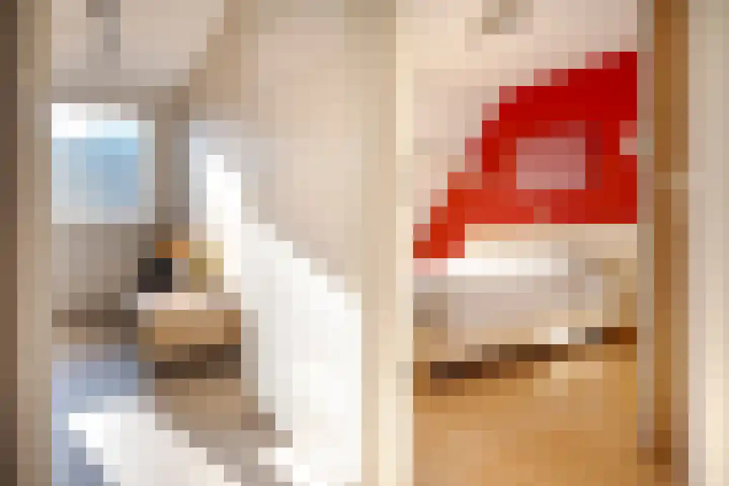 Rochussenware 26 Zwolle thumbnail 27
