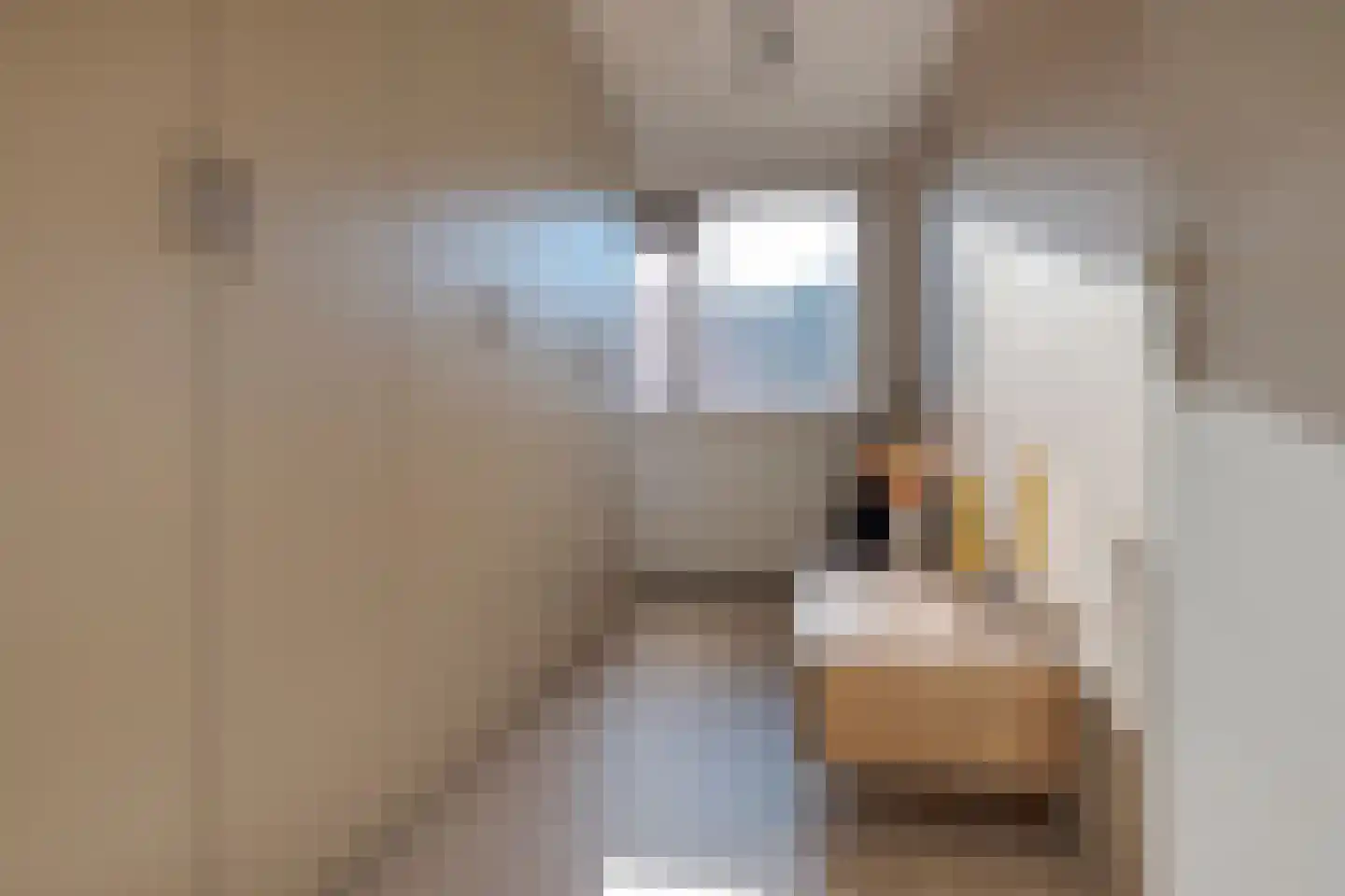 Rochussenware 26 Zwolle thumbnail 28
