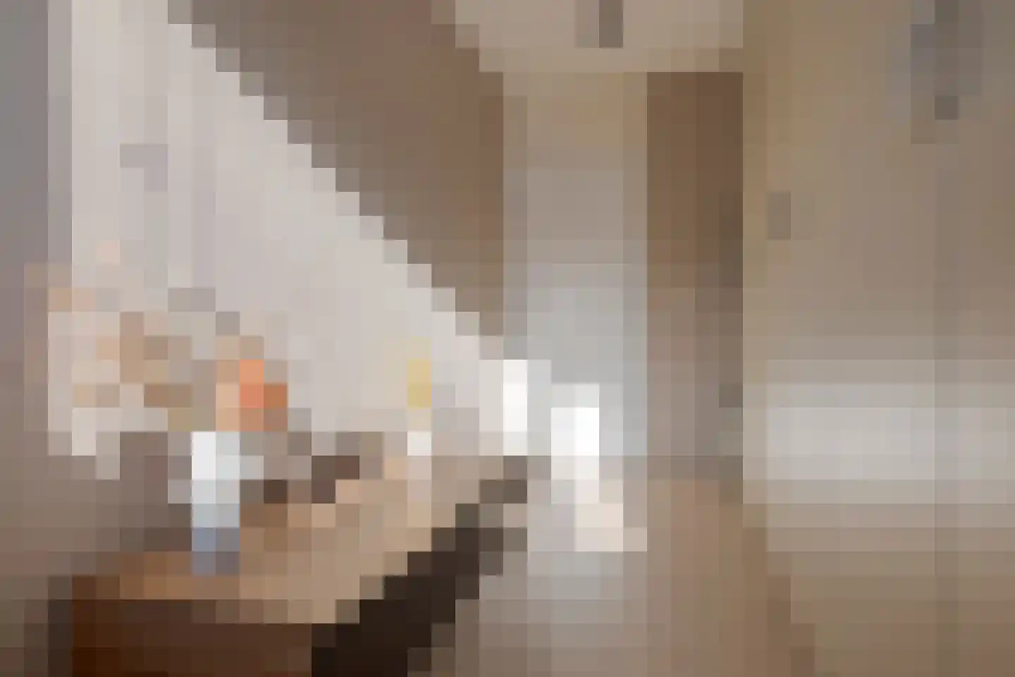 Rochussenware 26 Zwolle thumbnail 29