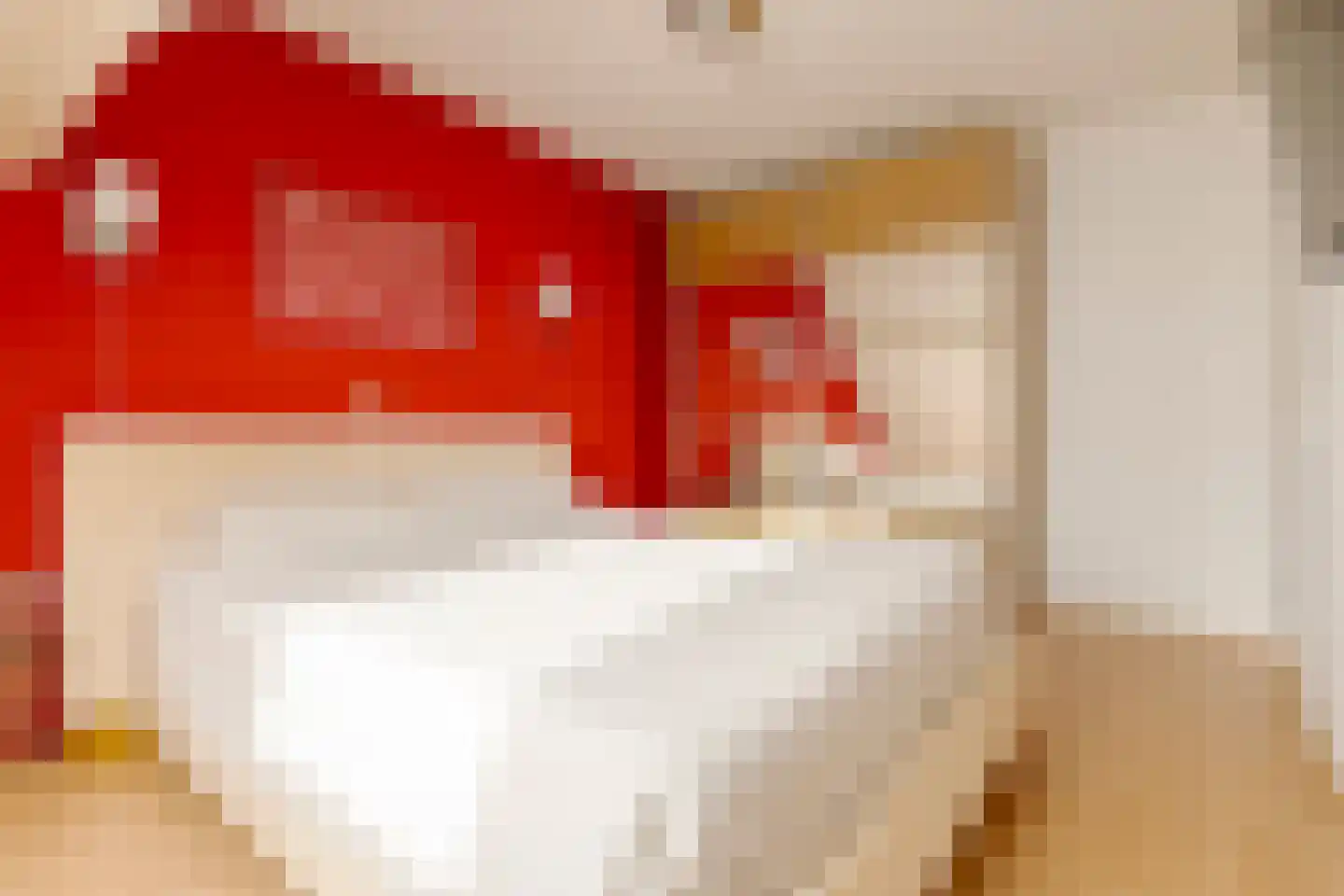 Rochussenware 26 Zwolle thumbnail 31