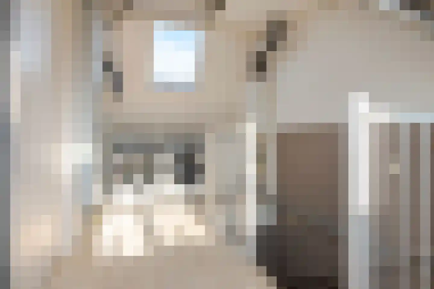Rochussenware 26 Zwolle thumbnail 37