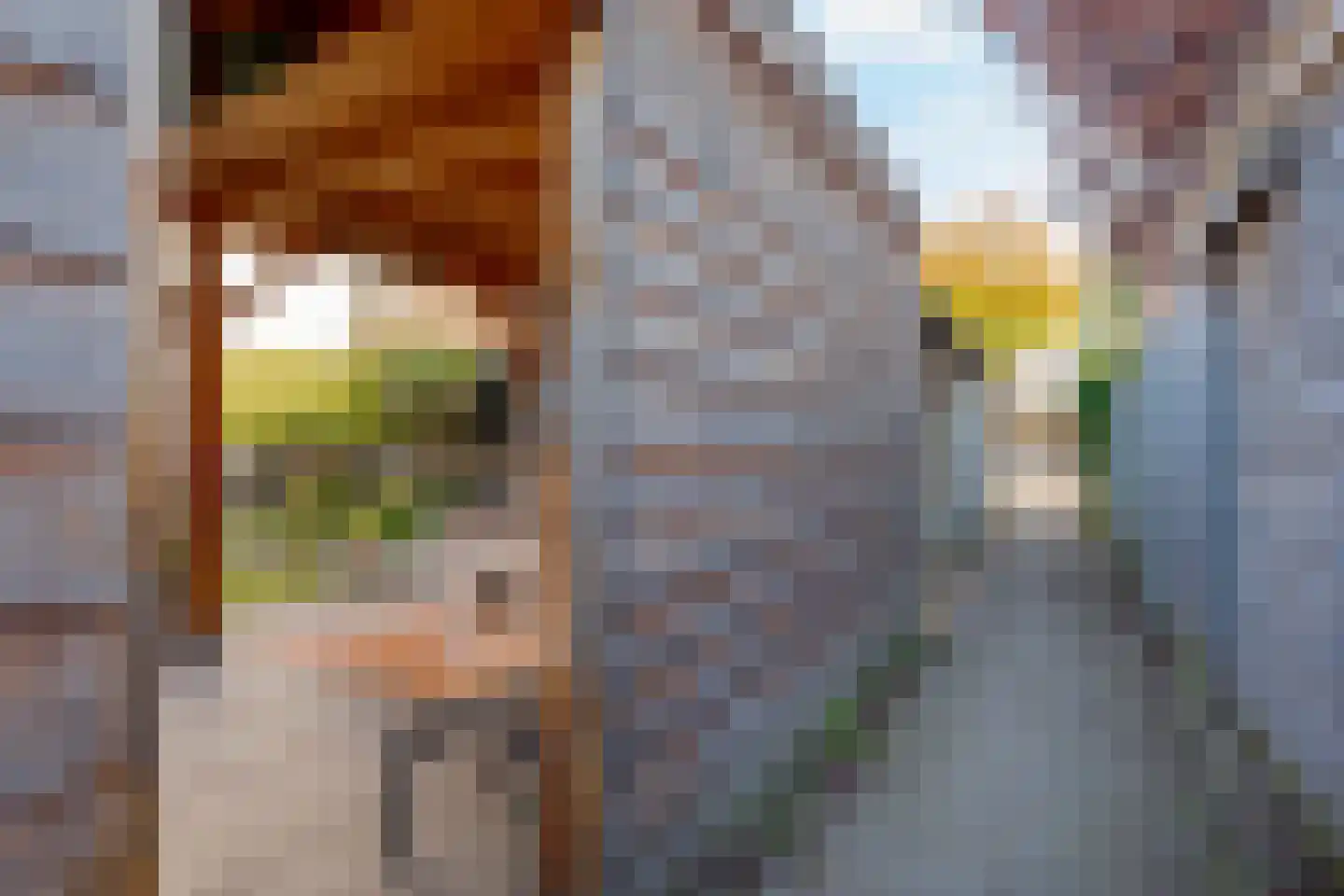 Rochussenware 26 Zwolle thumbnail 43
