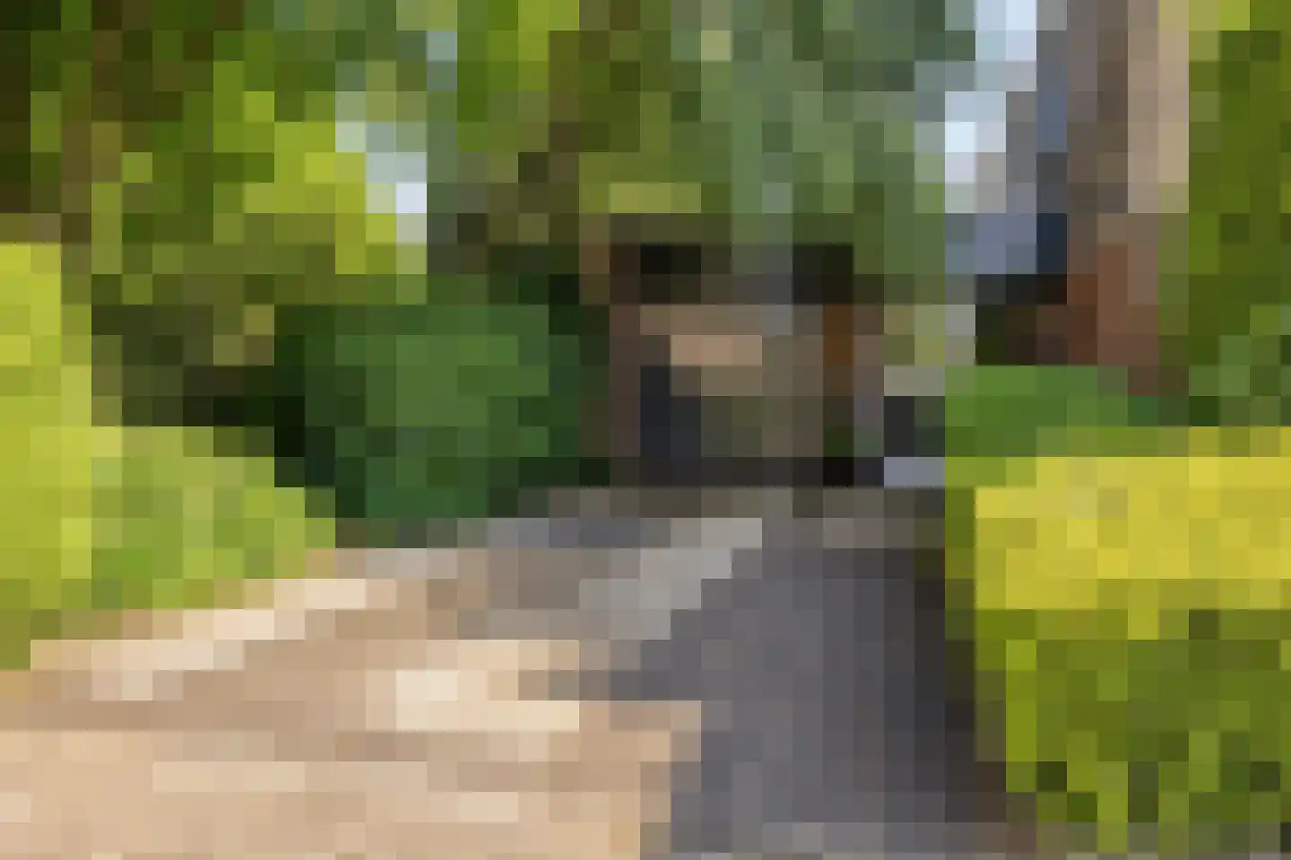 Rochusstraat 1 Venray thumbnail 5