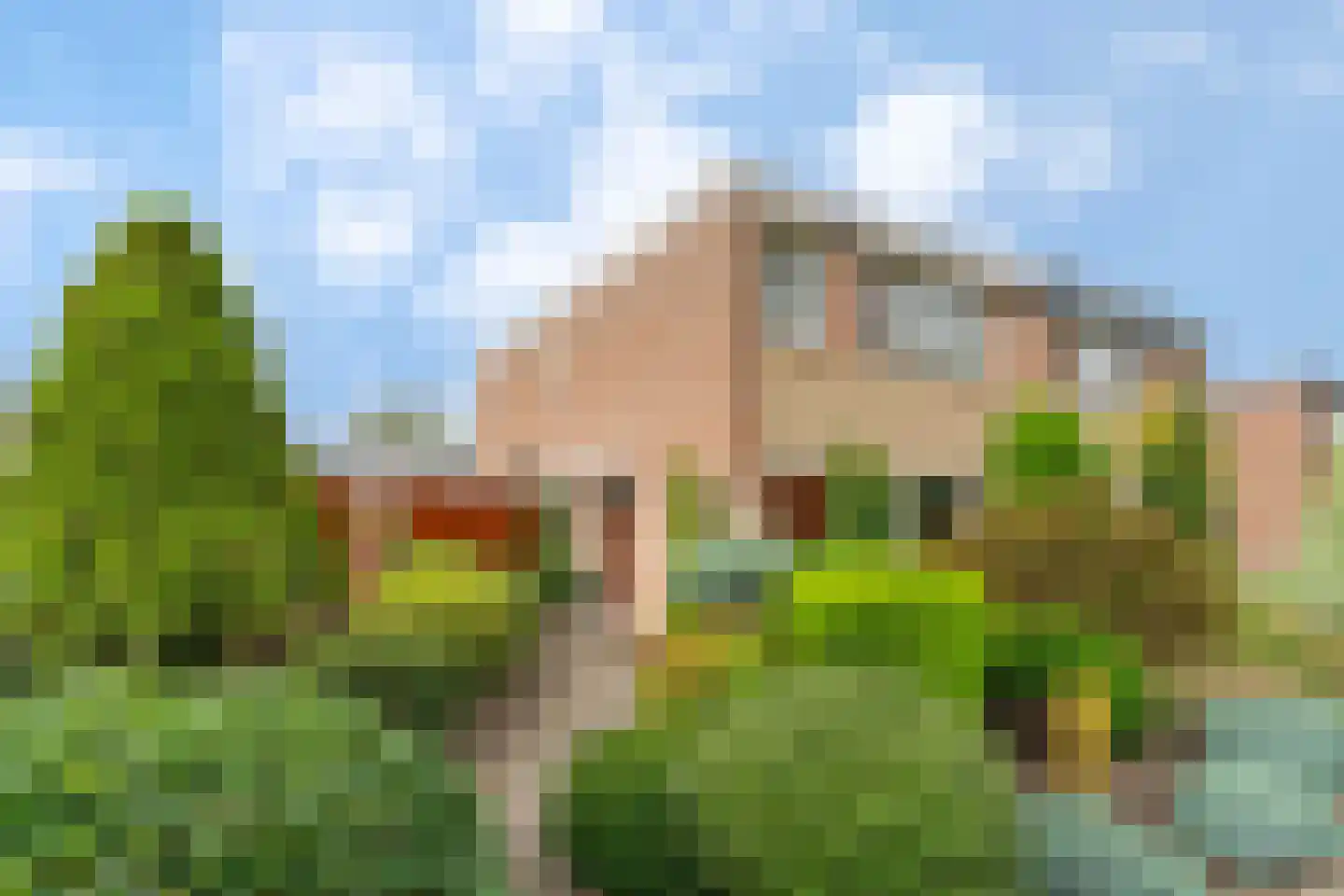 Rochusstraat 16 Venray thumbnail 4