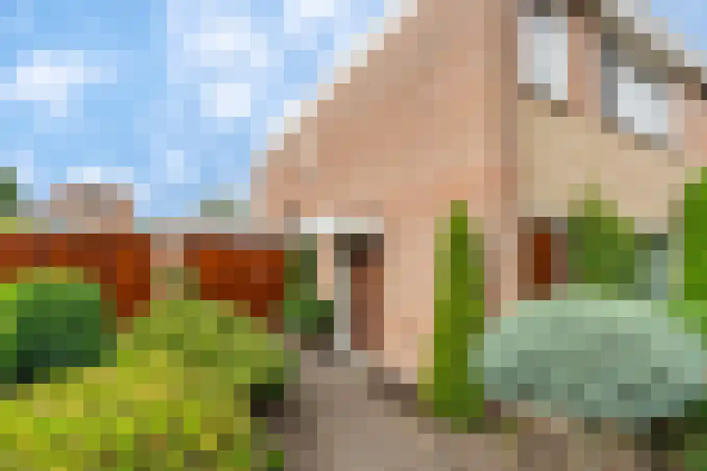 Rochusstraat 16 Venray thumbnail 5
