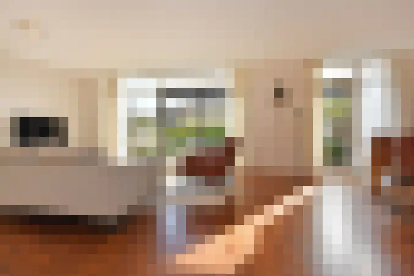 Rockanjelaan 21 Den Haag thumbnail 8