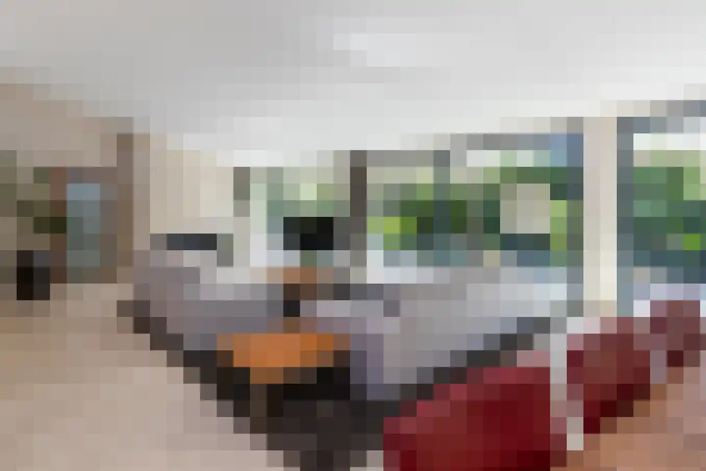 Rockanjelaan 27 Den Haag thumbnail 9