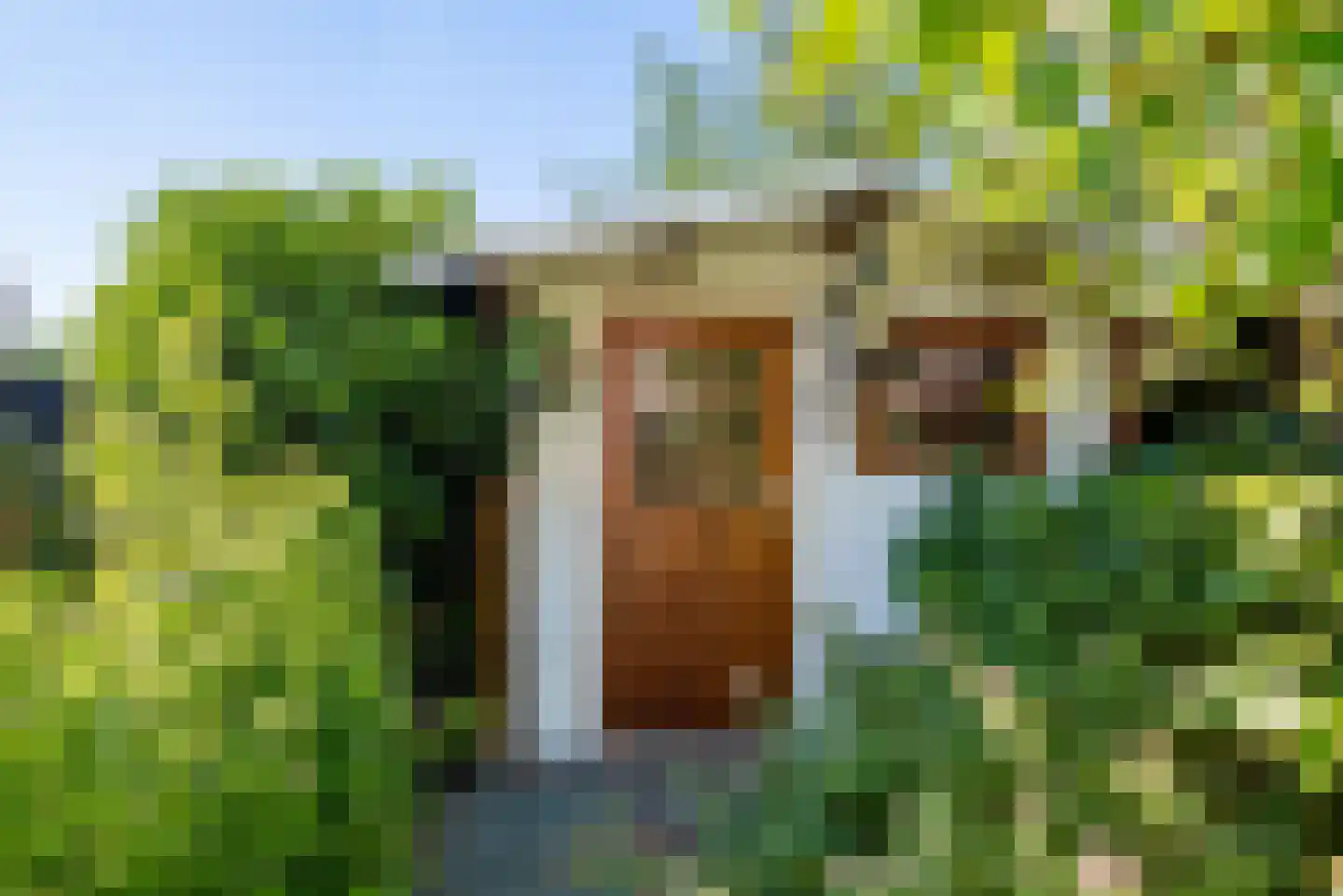 Rockanjestraat 10 Almere thumbnail 45