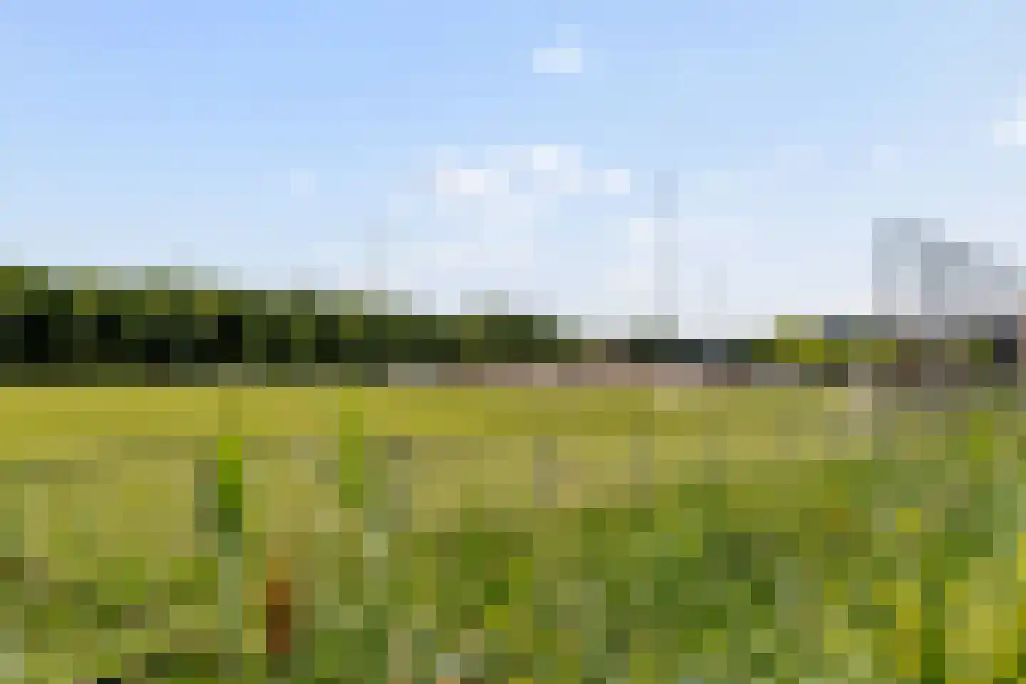 Rockanjestraat 10 Almere thumbnail 52