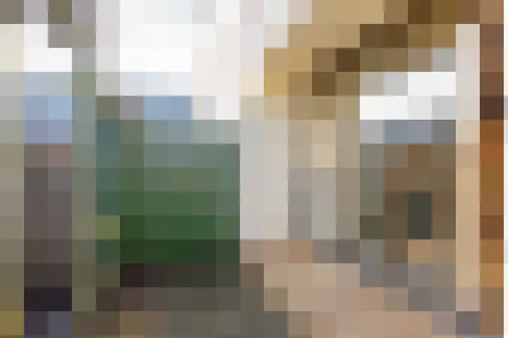 Rockanjestraat 10 Rotterdam thumbnail 5
