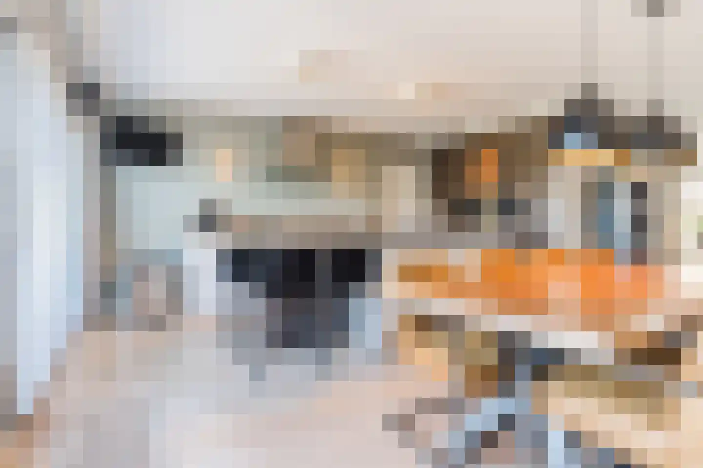 Rockanjestraat 7 Tilburg thumbnail 11