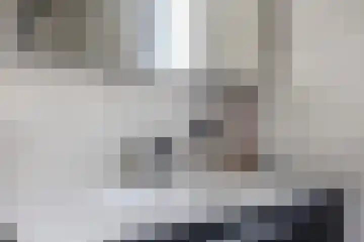 Rockplein 35 Haarlem thumbnail 27