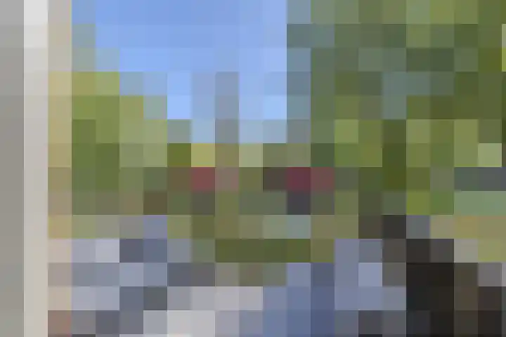 Rockplein 35 Haarlem thumbnail 4