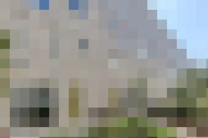 Rockplein 35 Haarlem thumbnail 45