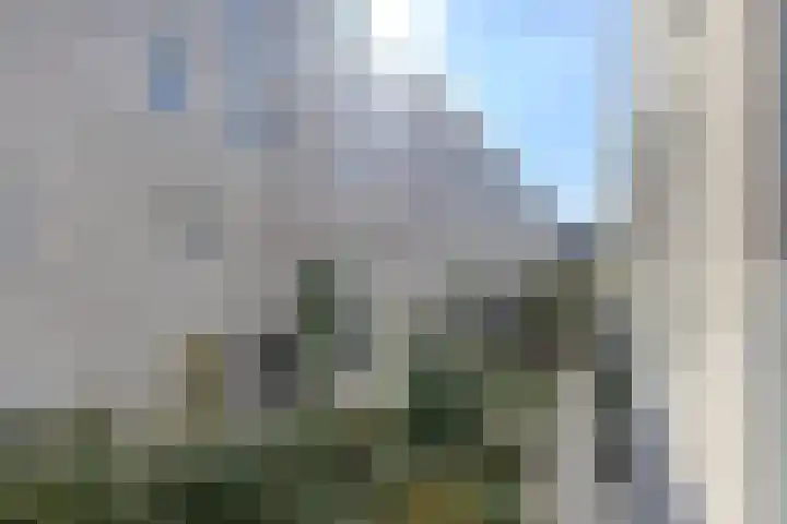 Rockplein 35 Haarlem thumbnail 5