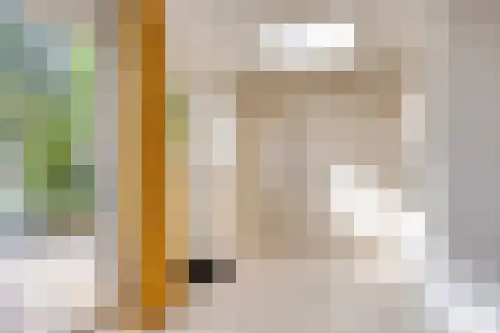 Rodaristraat 28 Rotterdam thumbnail 13