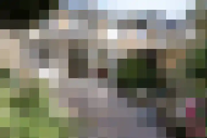 Rodaristraat 28 Rotterdam thumbnail 19
