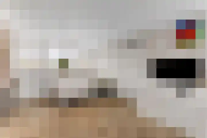 Rode Baan 28 Prinsenbeek thumbnail 16