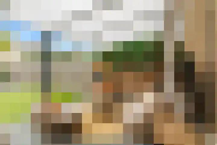 Rode Baan 28 Prinsenbeek thumbnail 18