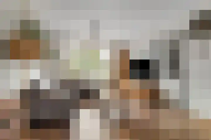 Rode Baan 28 Prinsenbeek thumbnail 5