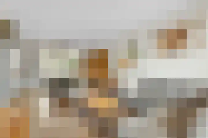Rode Baan 28 Prinsenbeek thumbnail 7