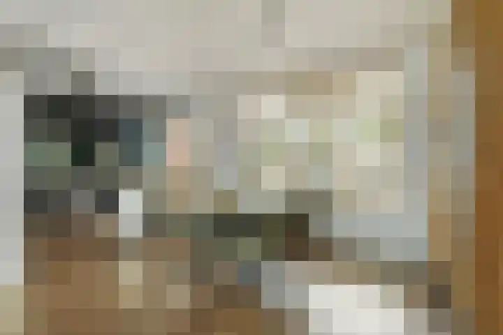 Rode Baan 28 Prinsenbeek thumbnail 8
