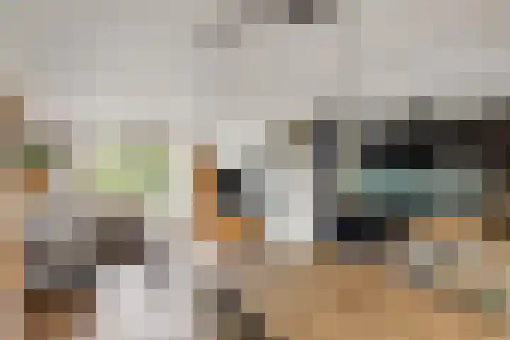 Rode Baan 28 Prinsenbeek thumbnail 9