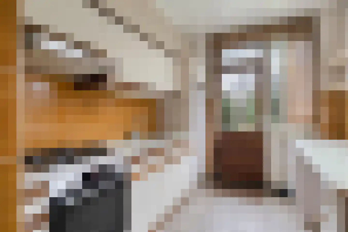 Rode Baan 8 Prinsenbeek thumbnail 12