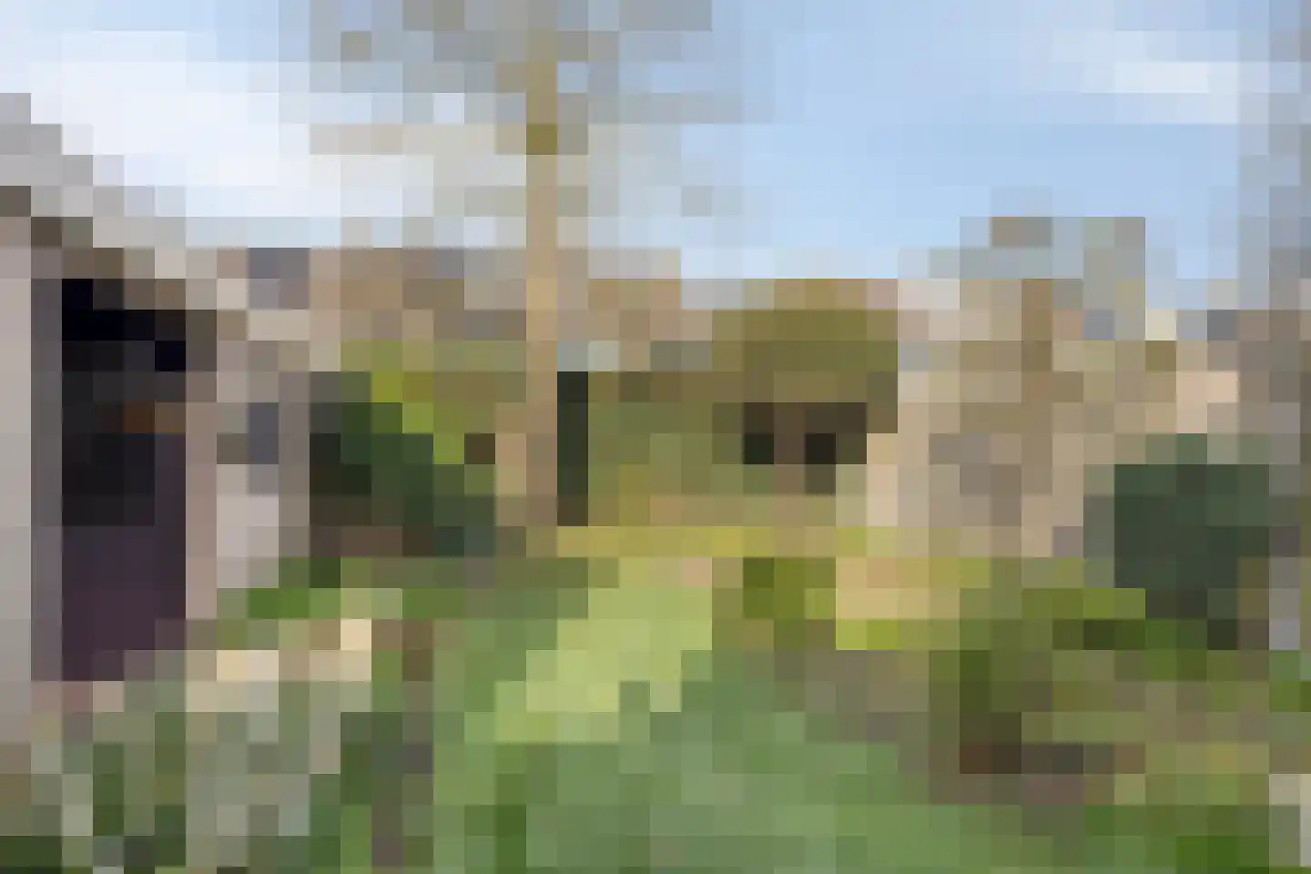 Rode Baan 8 Prinsenbeek thumbnail 22