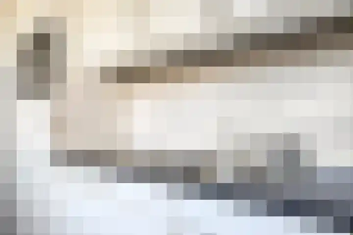 Rode Beemden 25 Helmond thumbnail 14