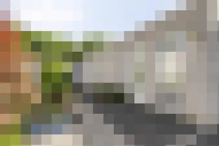 Rode Beemden 25 Helmond thumbnail 30