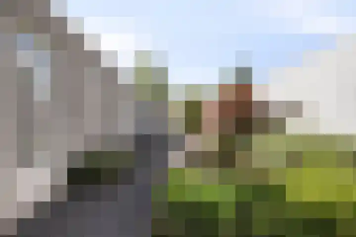 Rode Beemden 25 Helmond thumbnail 31