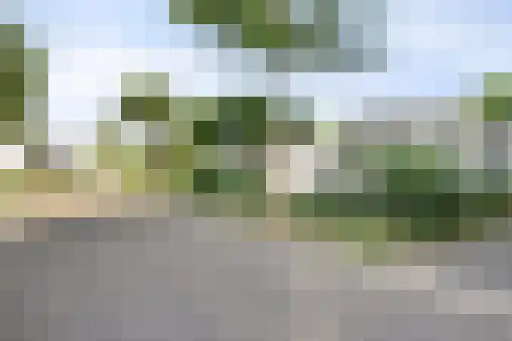 Rode Beemden 25 Helmond thumbnail 33
