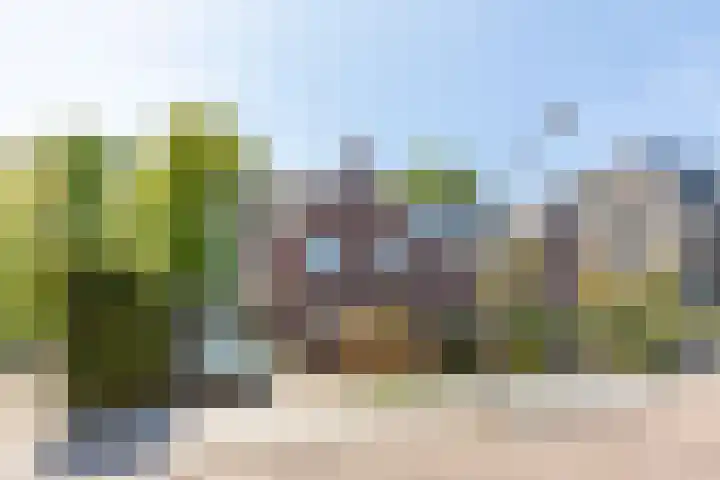 Rode Beemden 25 Helmond thumbnail 9