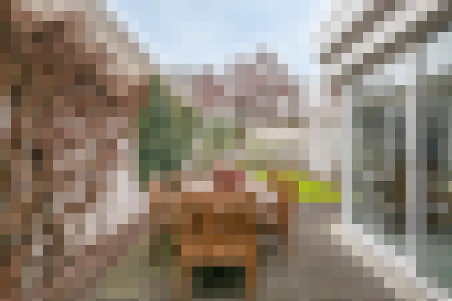 Rode Beemden 27 Helmond thumbnail 31