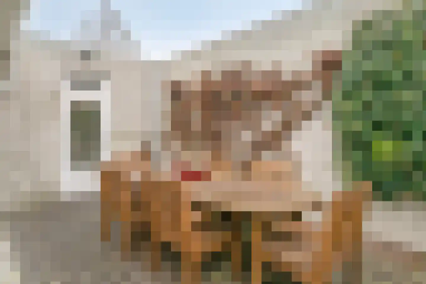 Rode Beemden 27 Helmond thumbnail 32