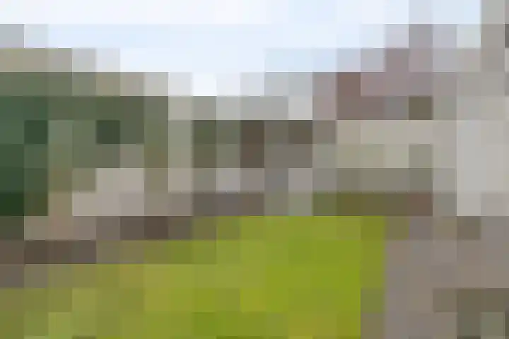 Rode Beemden 27 Helmond thumbnail 31