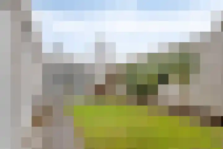 Rode Beemden 27 Helmond thumbnail 32