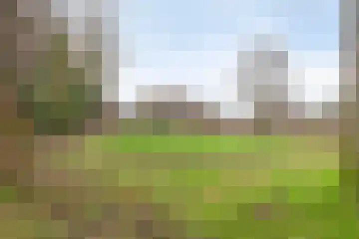 Rode Beemden 27 Helmond thumbnail 33