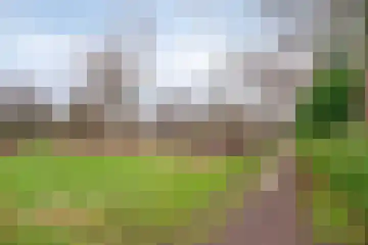 Rode Beemden 27 Helmond thumbnail 34