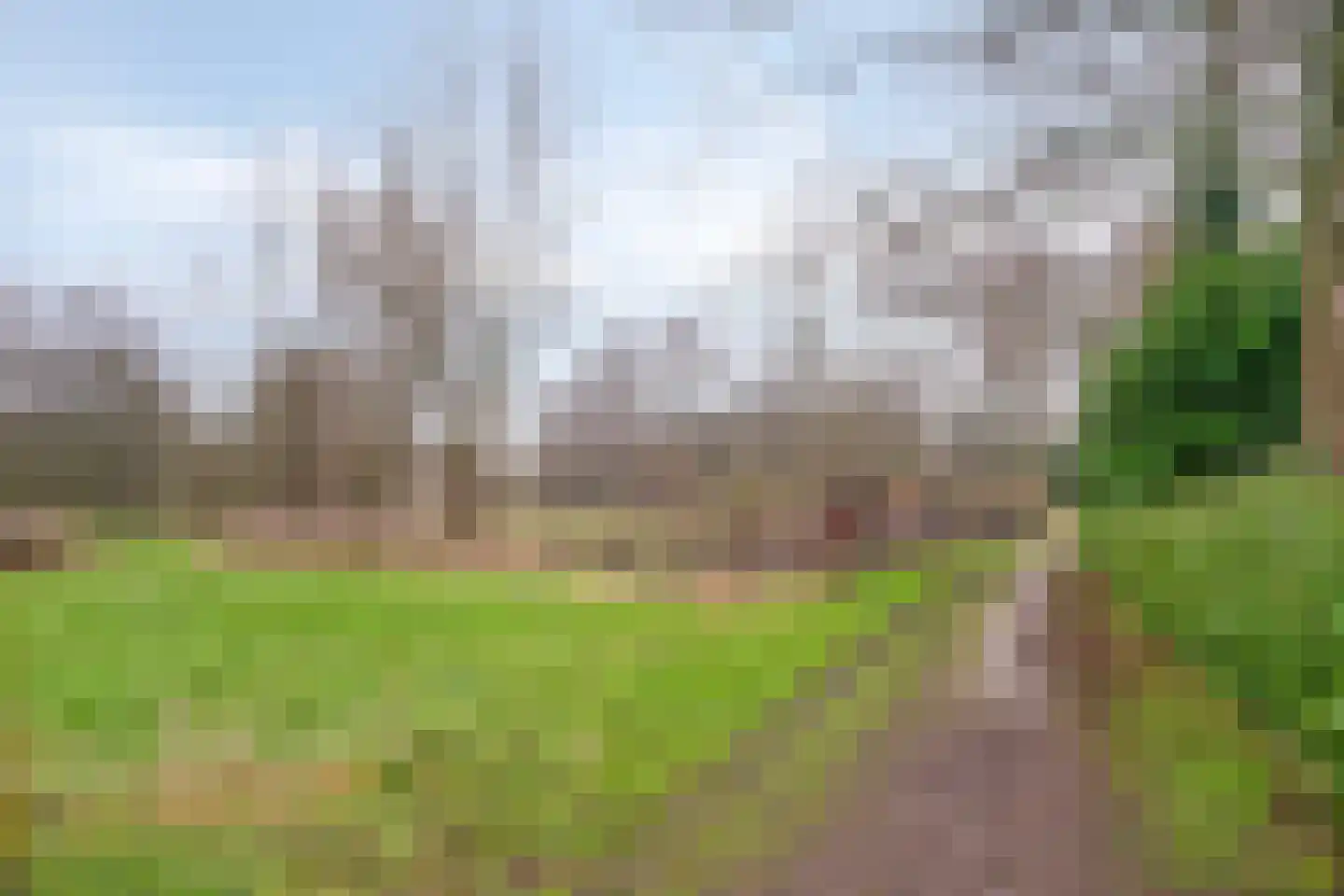 Rode Beemden 27 Helmond thumbnail 36